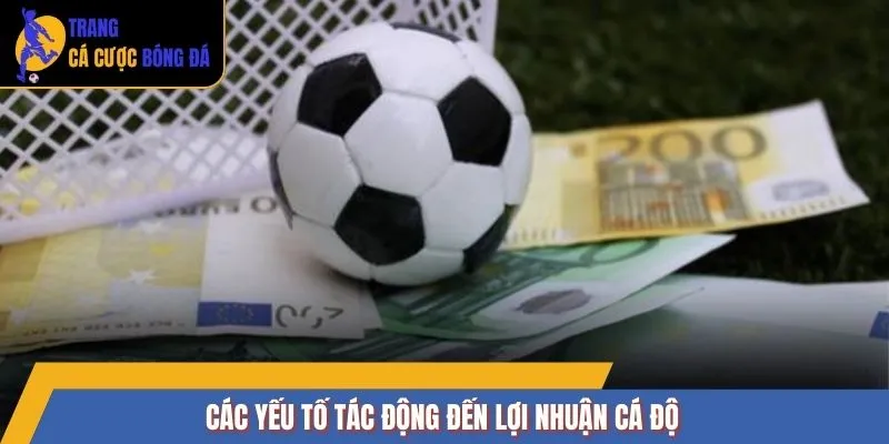 Các yếu tố tác động đến lợi nhuận cá độ