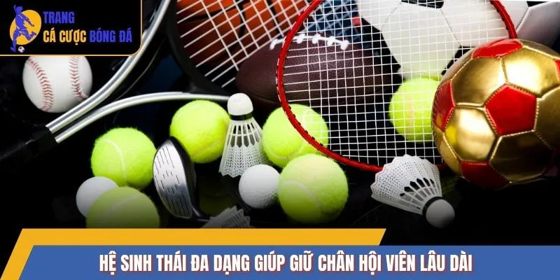 Hệ sinh thái đa dạng giúp giữ chân hội viên lâu dài