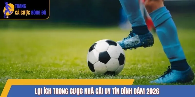 Lợi ích trong cược nhà cái uy tín đình đám 2026